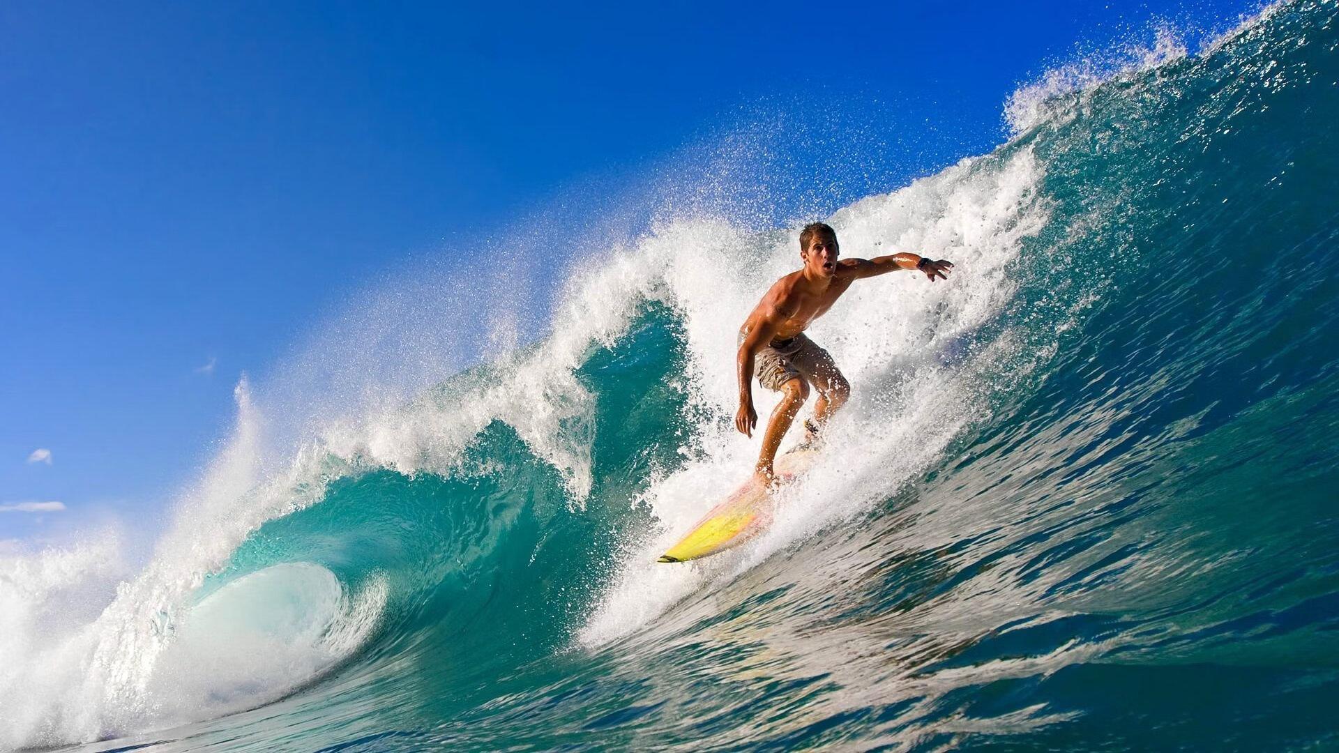 广厦队收割国王，哈利伯顿成为关键先生